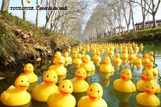 Canal du Midi