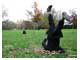 upsidedowm  jf Daviaud